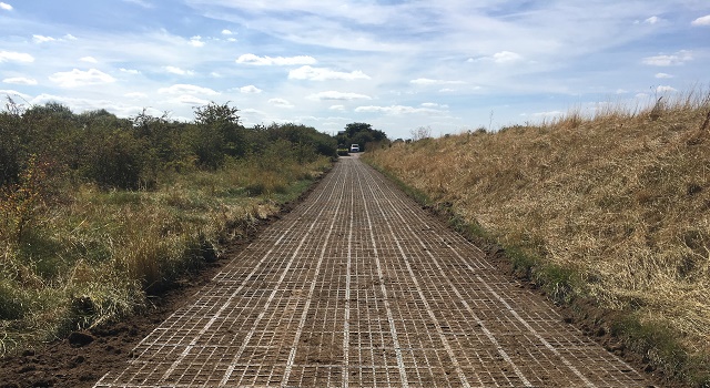 Mackley Graveney Marshes