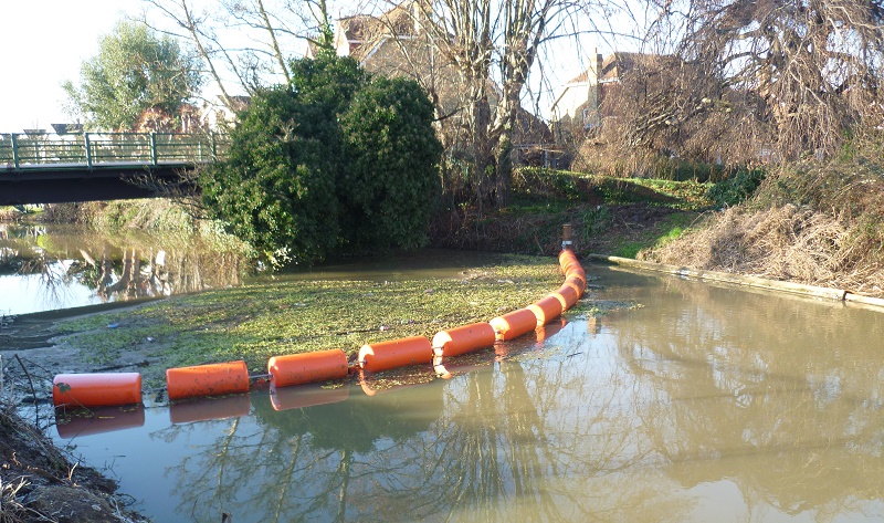 Mackley River mole